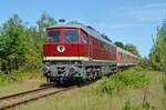 Am 03.06.23 gab es eine Sonderfahrt unter dem Motto  Grubenbahnromantik  von Ferropolis nach Burgkemnitz und zurück.