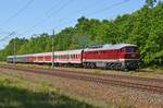 Am 03.06.23 fuhr Salzland Rail Service mit einem Sonderzug von Vienenburg nach Ferropolis.