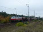 East-West-Railways 232 401-0 rauscht mit einem beladenen Güterzug durch die zunehmend herbstliche Wuhlheide, 25.10.2014
