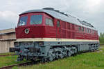 Lokomotive 132 010-0 am 29.06.2013 in Weimar.