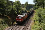 232 703 mit einem kurzen gemischten Güterzug am 3. August 2022 kurz vor Reuth bei Erbendorf.