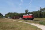 232 703 mit einem gemischten Güterzug aus Vilseck kommend am 4. August 2022 bei Freihungsand/Oberpfalz.