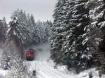 Der Winter ist zurück am 27.01.2011 als die 232 254 mit einem Güterzug gen Norden aus dem Wald auftaucht und auf Martinlamitz zu rauscht...