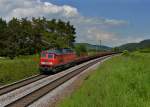 232 601 mit einem Güterzug am 28.05.2013 bei Parsberg.