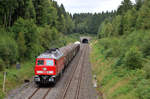 233 662-6 hatte am 20.08.2016 die Aufgabe den EZ 45368 von Cheb nach Nürnberg Rbf zu bringen. Aufgenommen wurde er bei Neusorg am 761m langen Langentheilener Tunnel.