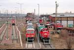 Zahlreiche Dieselloks, darunter 233 179-1 und 261 046-7 (Voith Gravita) DB, stehen im Bw Halle G neben der Zugbildungsanlage Halle (Saale).