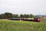 233 289 mit einem Kesselzug bei Thalham (03.05.2007)