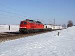 Die 233 510 und die 077 025 am 20.01.2017 unterwegs bei Ramelsbach.