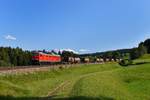 233 176 mit einem Güterzug am 28.08.2018 bei Heimhofen. 