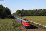 233 112-2 mit dem GB 45390(Plzen hl.n.os.n.-Garching(Alz) bei Klardorf 3.9.19