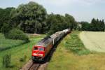 233 040 mit dem Unkraut-Spritzzug Rabz 69674 bei Weidenbach (20.06.2007)