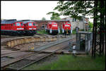 An der Drehscheibe im AW Cottbus standen am 1.6.2007 u. a. links die Ludmilla 232349-1, neben der 233521-4 und einer 290 sowie 294 Rangierlok der DB.