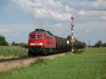 233 176-7 bei Pirach in Richtung Mhldorf am 30.7.07