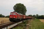 233 217 mit CS 61904 auf der Flutbrcke bei Trglitz (18.07.2007)