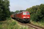 233 179 mit FE 45433 in Herrensee (26.07.2007)