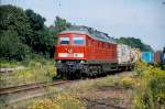 233 462-1 auf der Ostbahn bei der Durchfahrt durch den Bf. Berlin-Kaulsdorf (August 2007). Immerhin gibt es auf dieser Strecke noch einiges an Gterverkehr von der Polnischen Grenze und vom Zementwerk Rdersdorf. 