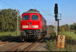 Nachschuss vom Saaleradweg bei Schkopau auf die anhangslose 233 636-0 (232 636-1 | 132 636-2) Richtung Halle-Ammendorf.

🧰 DB Cargo
🕓 25.9.2023 | 9:38 Uhr