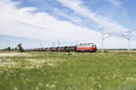 232 409 mit einem Zug voller Rohre für den Pipelinebau. Das Ziel könnte Torgelow Drögheide gewesen sein. Fotografiert bei Ferdinandshof am 25.05.2018