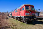 Lokportrait von 233 451 EBS im Sächsischen Eisenbahnmuseum Chemnitz-Hilbersdorf - vermutlich dient die Lokomotive als Ersatzteilspender, 12.03.2022