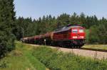 233 594 mit FZ 56523 vor Kastl (02.07.2008)