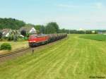 233 594 bei der Ausfahrt aus dem Bahnhof Tling ->Freilassing am 21.06.2008.