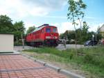 233 281-5 am 22.05.2009 am Bahnbergang in Schwedt auf dem Weg zur Papierfabrik