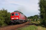 233 510 am 22.07.2009 mit Gterzug bei Sulzbach-Rosenberg