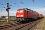 233 367-2 erreicht am 09.09.09 mit einem gemischten Gterzug den Bahnhof Grokorbetha.