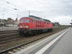 Hier 233 249-2, bei der Durchfahrt am 25.9.2009 duch Angermnde.