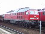 233 625-3 wartet an einem roten Signal in Berlin Schnefeld Flughafen am 9.5.05