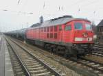 Hier 233 249-2 mit einem Kesselwagenzug in Richtung Berlin, dieser Zug stand am 14.11.2009 in Angermnde.