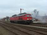 BR 233 493-6 hat gerade einen Zug aus Rothensee gebracht, und fhrt nun Lz weiter nach Forsthaus Eiche um einen Kieszug zu holen. 19.02.09 um 10:08.
Um Unklarheiten vorzubeugen: Nein, die Lok brennt nicht, und Ausfahrt ohne Fahrtstellung des Ausfahrsignals.