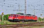 -Sonnenbaden- 233 515 und 115 509 abgestellt im Bf Stralsund am 21.05.2010