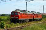 233 232-8 und 233 689-9 durchfahren am 18.6.2010 den Bahnhof Krensitz.