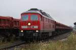 233 696-4 stand am 06.08.2010 mit einem Gz Fans am Haldensleber Bahnhof zur Abfahrt bereit.