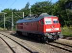 233 493 in Reichenbach (am 01.08.2005)