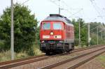 233 515-6 als LZ zwischen Brandenburg und Gtz. In Richtung Brandenburg Hbf. 20.08.2010