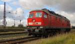 DB 233 625-3 (92 80 1233 625-3 D-DB) in Grokorbetha Rbf; 25.10.2010