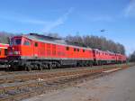 233 Tag in Marktredwitz am 24.03.11. Los ging es mit 233 176-7, 233 118-9 und 233 586-7 die standen frh im Bahnhof.