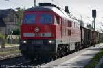 Priort, DB Diesellok 233 698-0 (92 80 1233 698-0 D-DB) mit Gterzug auf dem Berliner Auenring, 15.