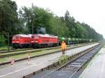 233 289 und 233 662 in Kastl (01.06.2006)