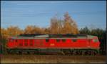 DB 233 127 im Profil am 14.11.2012 in der Berliner Wuhlheide