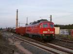 233 511 mit dem 87er am 17.04.13 in Mehltheuer/V.