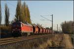 Anderer Tag, neues Glck:
Widerum donnert 233 112 mit einem Ganzzug 
durchn Abzweig Seehof gen Magdeburg.
13.11.2012