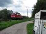 233 176 (beim Umsetzen) in Langenbach (29.08.2006)