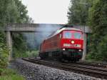 233 367, 232 347 und 294 762 bei der Ausfahrt in Marktredwitz am 19.08.13 