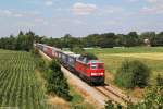 233 525 mit Klv Zug am 24.07.2014 bei Gredstedbro.