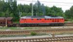 233 232-8 gibt Gas am 30.07.2014 in Hosena.