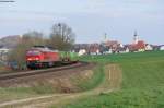 233 219-5 mit einem gemischten Güterzug bei Sulzbach-Rosenberg, 27.03.2014