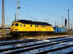 Am 22.01.2016 kam die 233 493-6 von der Bahnbau Gruppe aus Richtung Berlin nach Stendal und fuhr weiter in Richtung Magdeburg .